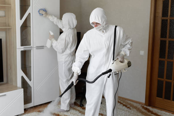 Best Commercial Mold Remediation in Clarendon Hls, IL